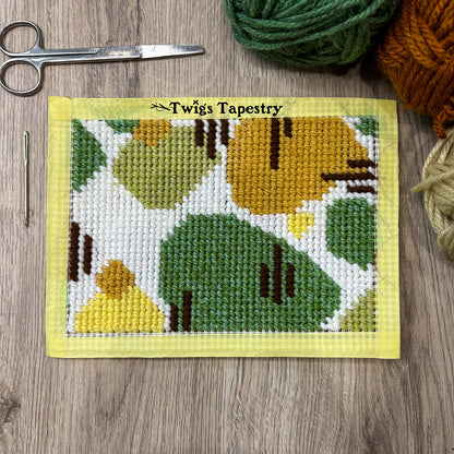 Tapestry kit
