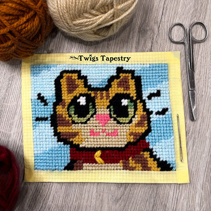 Tapestry kit