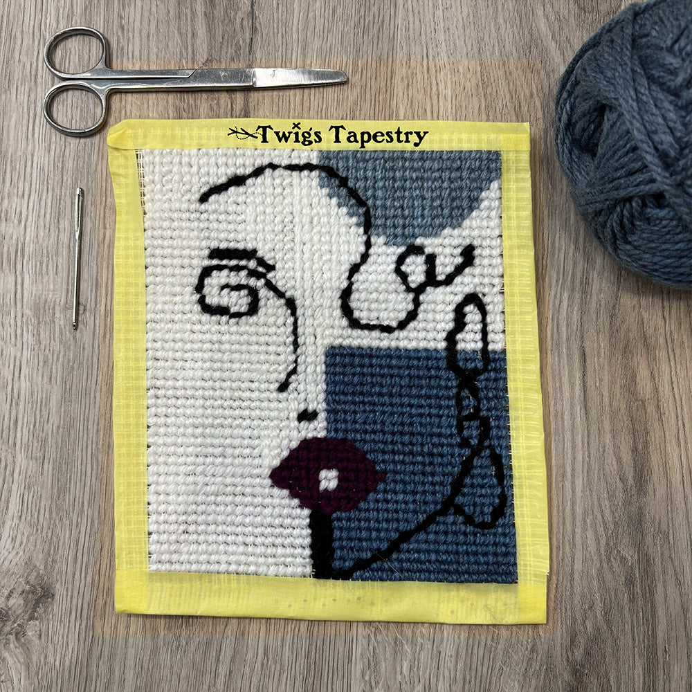 Tapestry kit