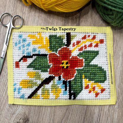 Tapestry kit
