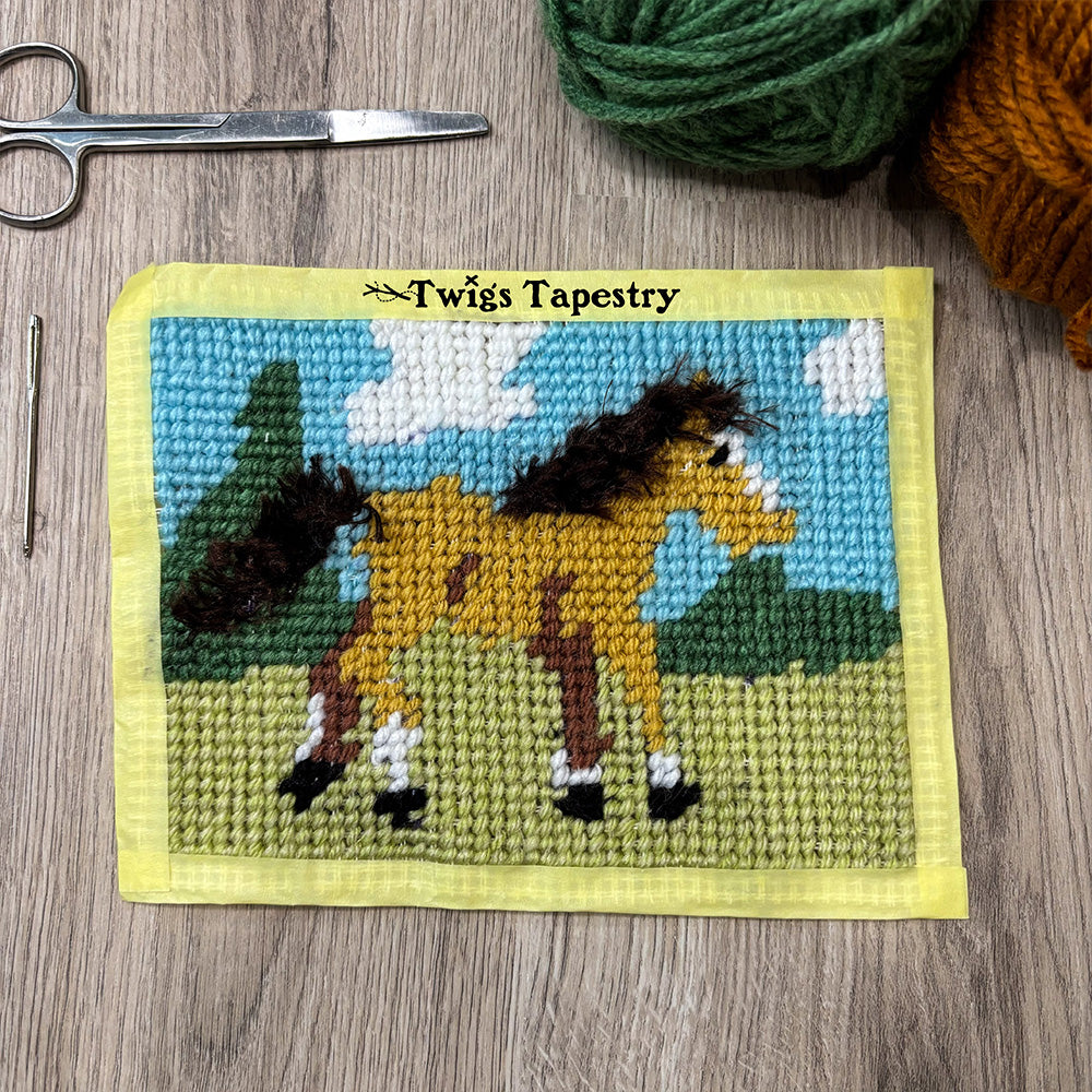 Tapestry kit