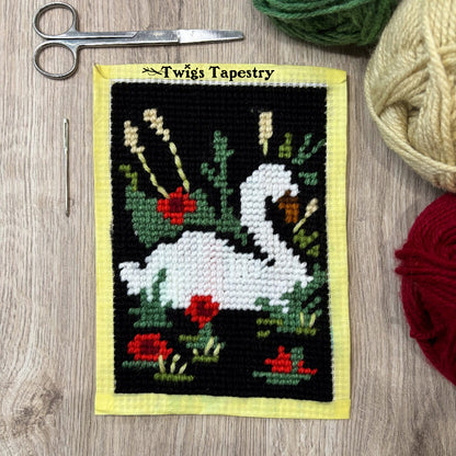 Tapestry kit
